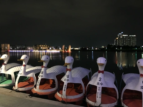 Suseong Pond Daegu South Korea duck boats