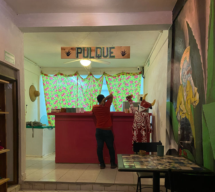 Pulque bar in Puerto Vallarta Mexico