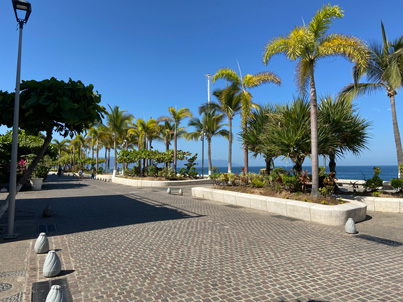 The Puerto Vallarta Malecon coastal walkway with palm trees and the ocean