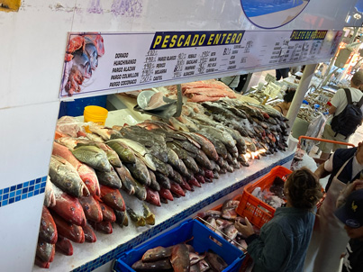 A stall with fresh caught fish at the Mercado de 5 de diciembre seafood market in Puerto Vallarta, Mexico