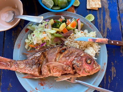 A plate with a deep fried fish at a seafood restaurant in Puerto Vallarta, Mexico