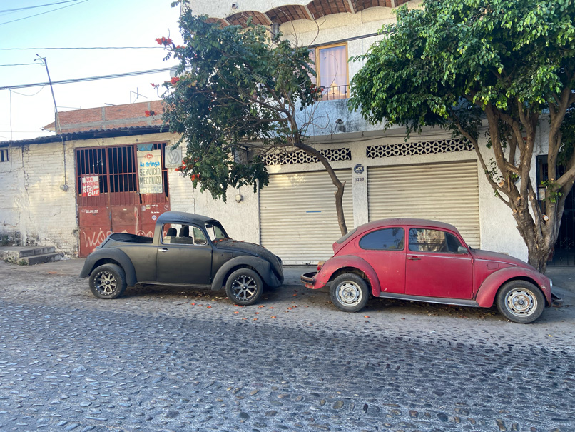 Slug Bugs and Volkswagen Beetles in Mexico